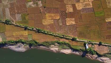 Top-down-aerial-shot-of-paddy-field-with-rural-path,-farmland-landscape,-Sylhet