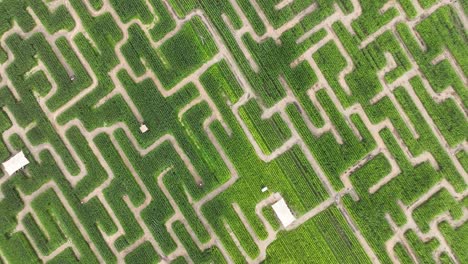 maze labyrinth in nature