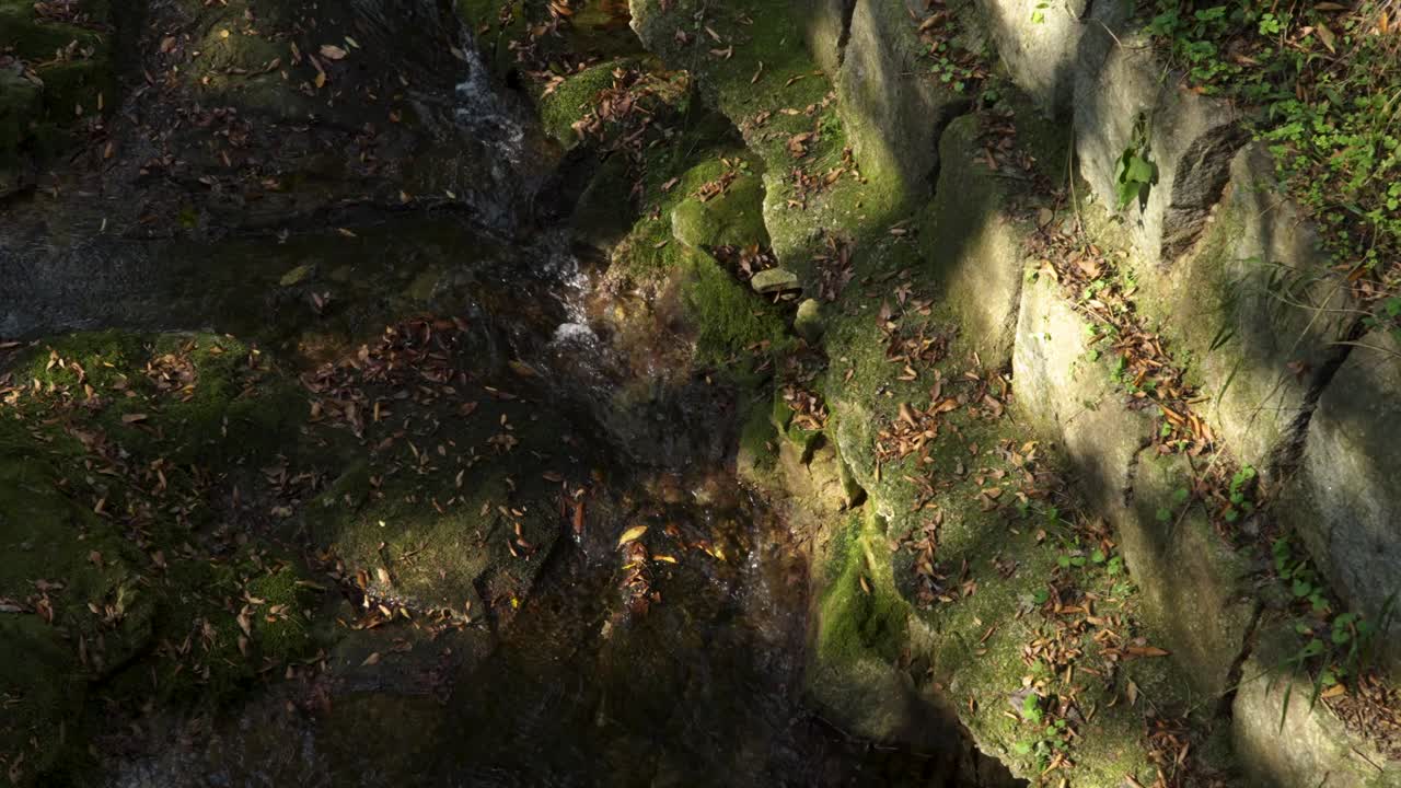 Stream flows below mossy rock wall in Naejangsan’s steep mountain forest