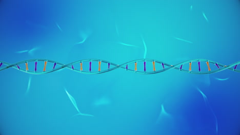 Orange-Und-Violette-DNA-Strang-Animation-Auf-Hellblauem-Schleifenhintergrund
