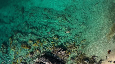 A-couple-snorkels-in-the-reef-at-the-USVI,-next-to-the-rocks-and-turquoise-waters