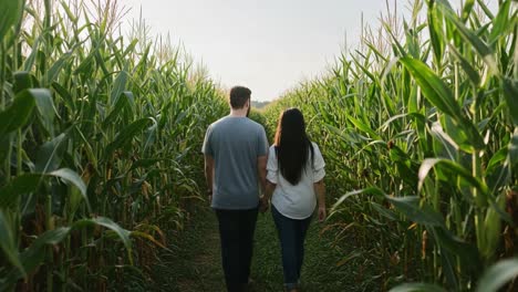 Couple Walking Hand-in-Hand Through a Cornfield