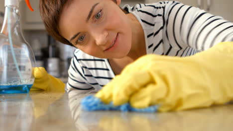 woman cleaning counter