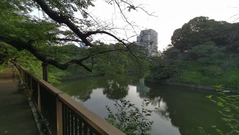 도쿄 치도리가푸치 (tokyo chidorigafuchi) 2022년