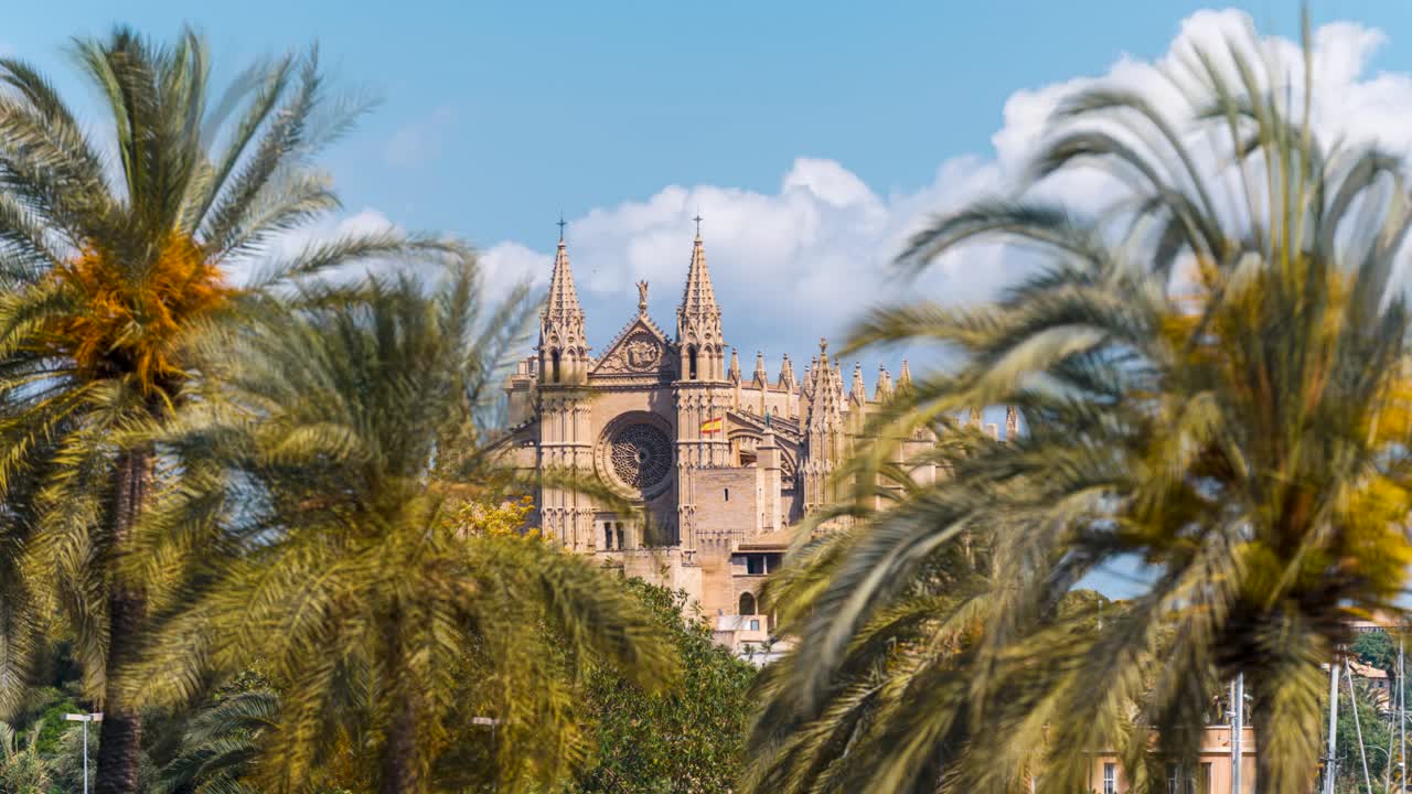 Timelapse of the Palma Cathedral through palm trees (Palma, Mallorca, Spain). La Seu Cathedral peeking through swaying palm fronds under a bright blue sky with soft clouds.