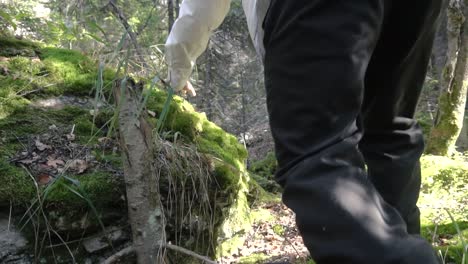 hiking in a mossy forest