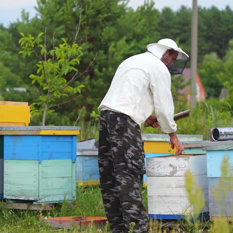 beekeeper putting new frames into hives. male apiculturist working near wooden beehives in the countryside in a bright summer day