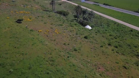 el campo en el algarve, portugal, con palmeras y campos verdes