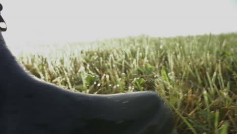 Boots-walking-through-high-grass-on-a-field-a-misty-morning