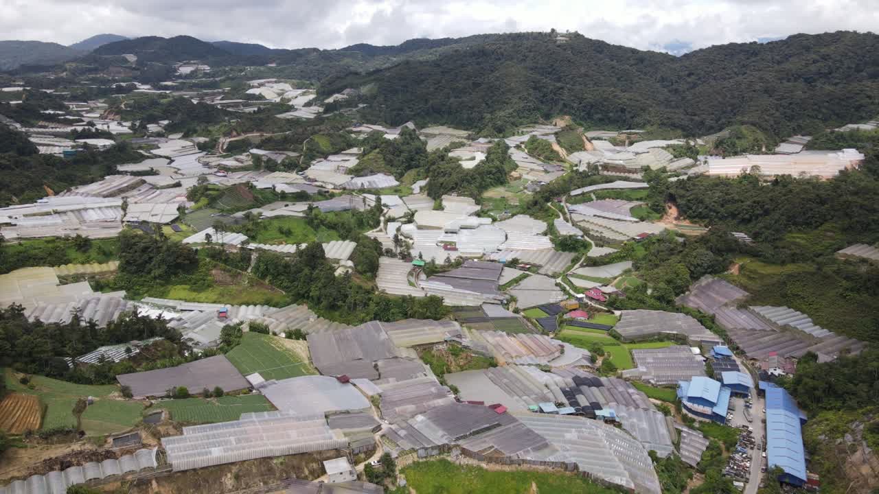 말레이시아의 카메론 하이랜드 지역 내의 브린창 지역의 일반 풍경