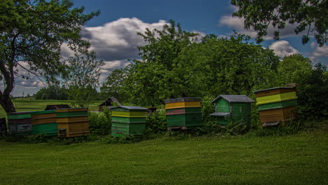 Lapso-De-Tiempo-De-Antiguas-Casas-De-Abejas-Abandonadas-Debido-A-La-Contaminación-Ambiental