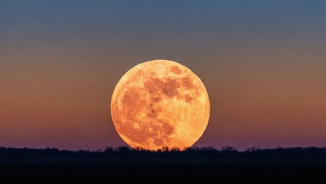 A Stunning Display of a Full Moon on the Horizon: Captivating Views of the Night Sky with the Moon Illuminating the Twilight Landscape