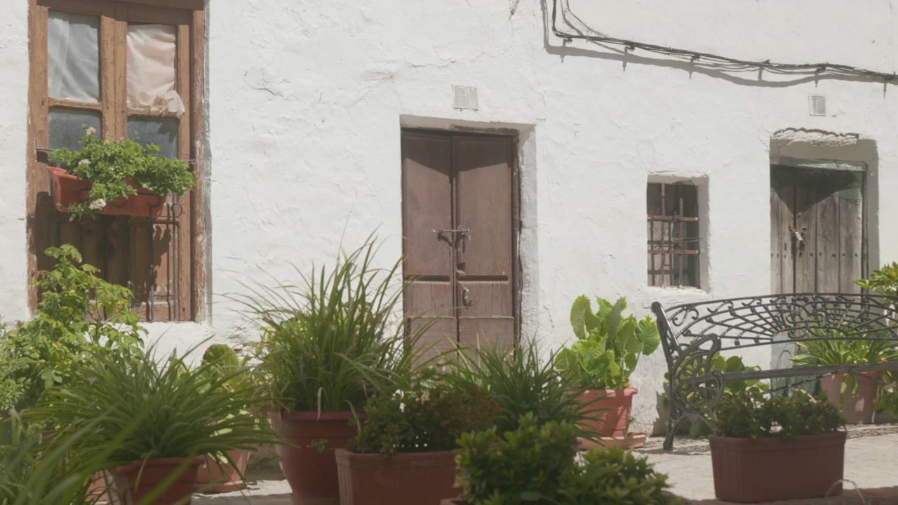 Una ripresa statica della facciata di una tradizionale casa imbiancata a calce a Iznatoraf (Jaén, Spagna), decorata con un'abbondanza di piante verdi in vaso, cactus e una panca in ferro battuto nero.