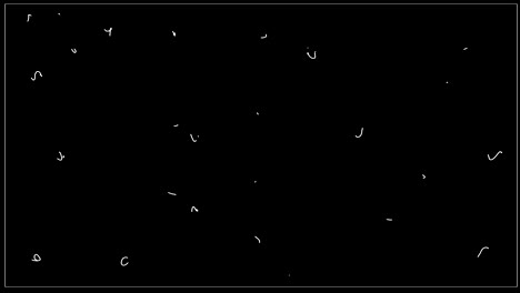 tira de película. animación en stop motion.