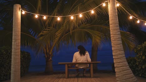 tourist sitting on a wooden bench beneath palm trees twinkling with string lights, soaking in the peaceful oceanfront view at night, surrounded by tranquility and serene ambiance