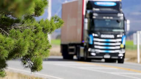 a truck drives past a pine tree on a rural road, with clear skies and natural lighting