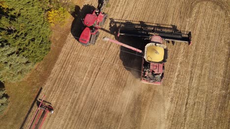 harvester combine rises unloader and pours soybeans in dump truck, aerial view, monroe county michigan, usa