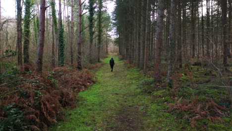 a woman and children walking in a forest in normandy