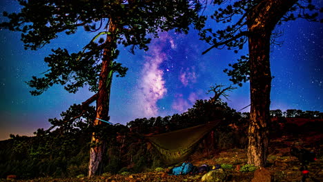 hammock between trees below night sky with moving stars and galaxies