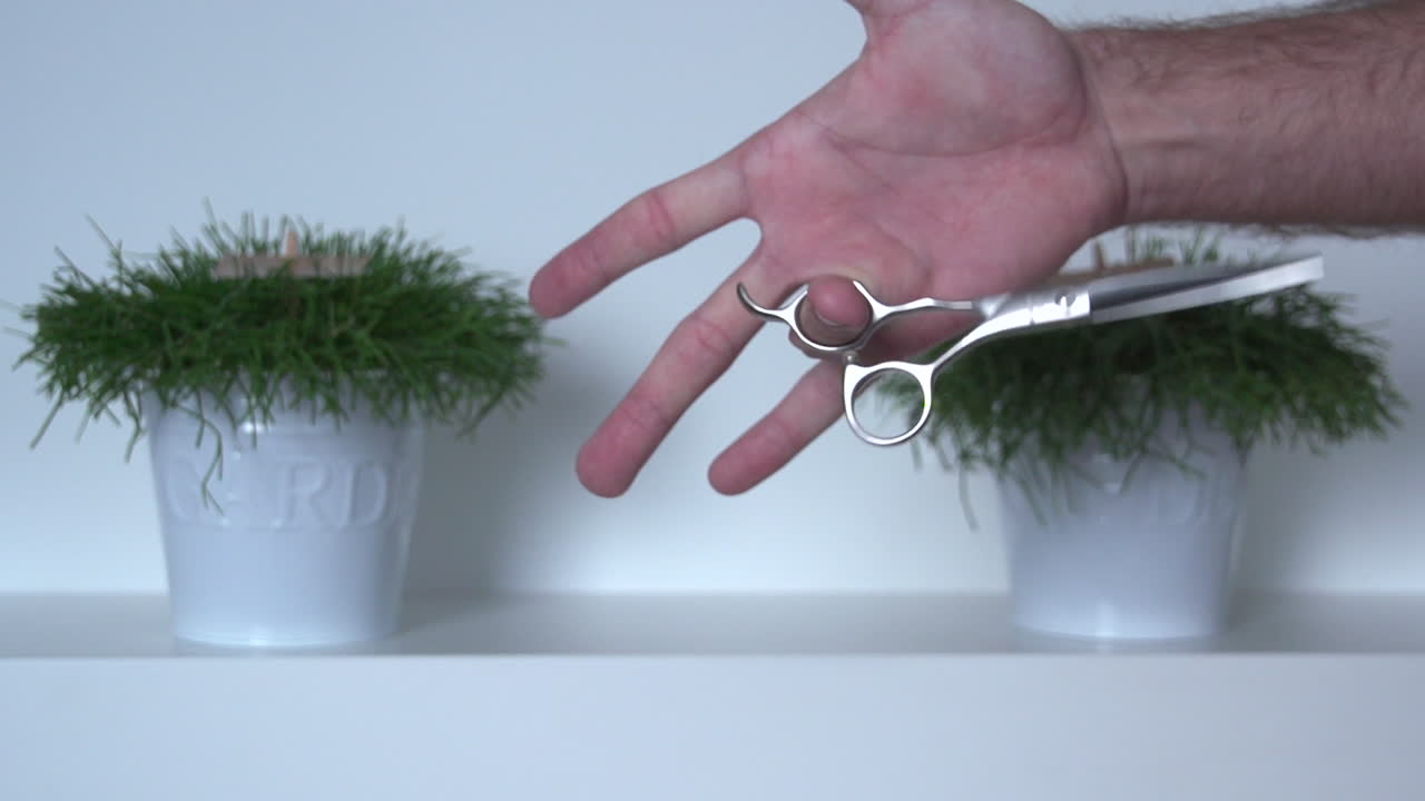 이 매혹적인 슬로우 모션 비디오에서 전문적인 헤어 커팅