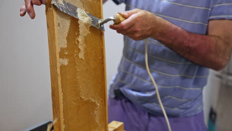 getting honey from natural honeycomb. close up of beekeeper gets honeycomb from the hive