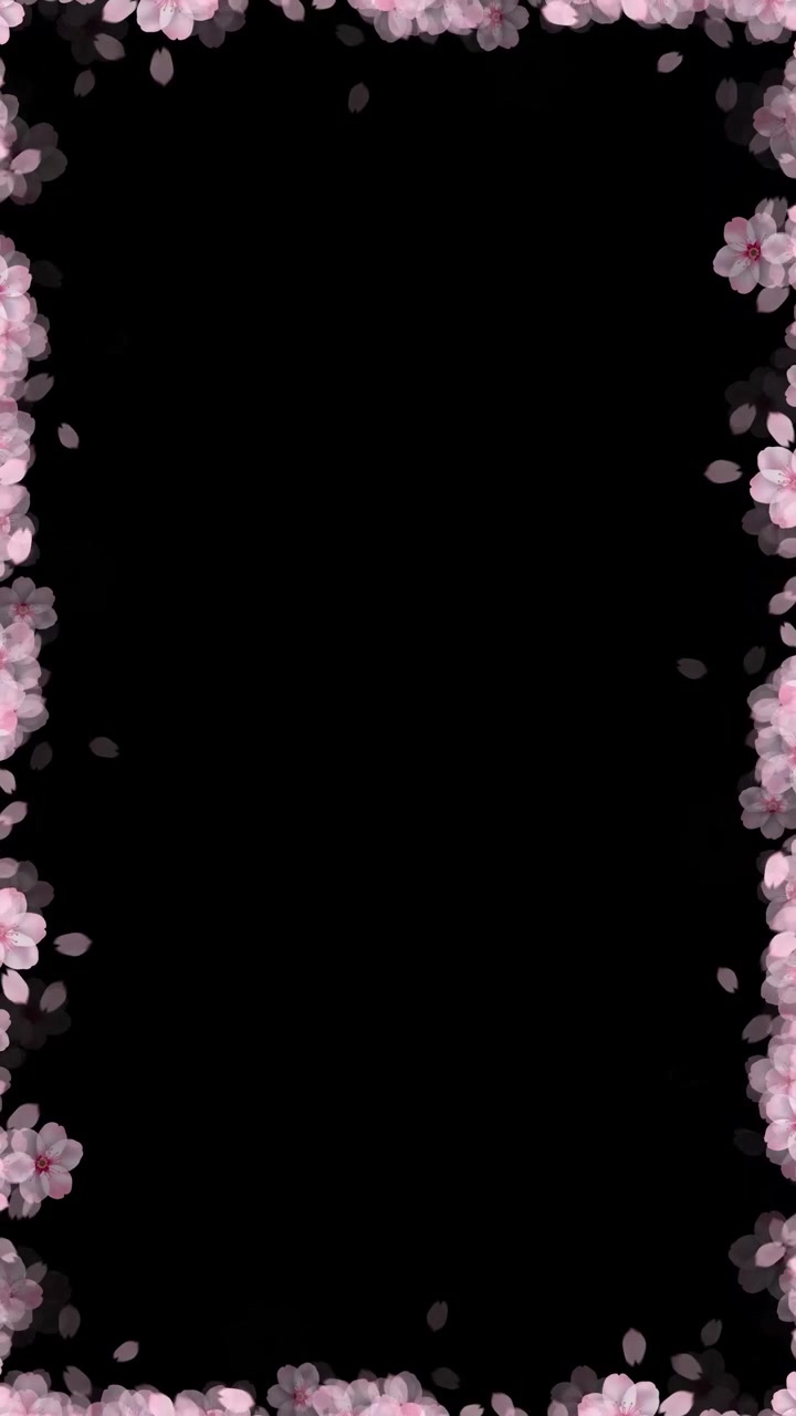 Animated Cherry Blossom Flower Border Frame on Black Background