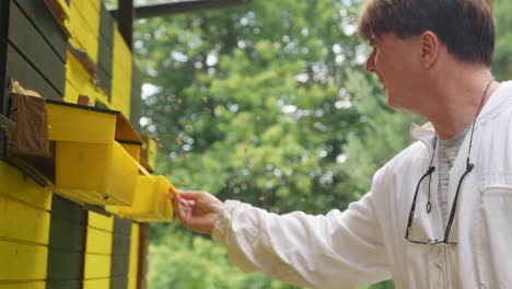 beekeeper observing and checking a hive entrance, handheld medium shot