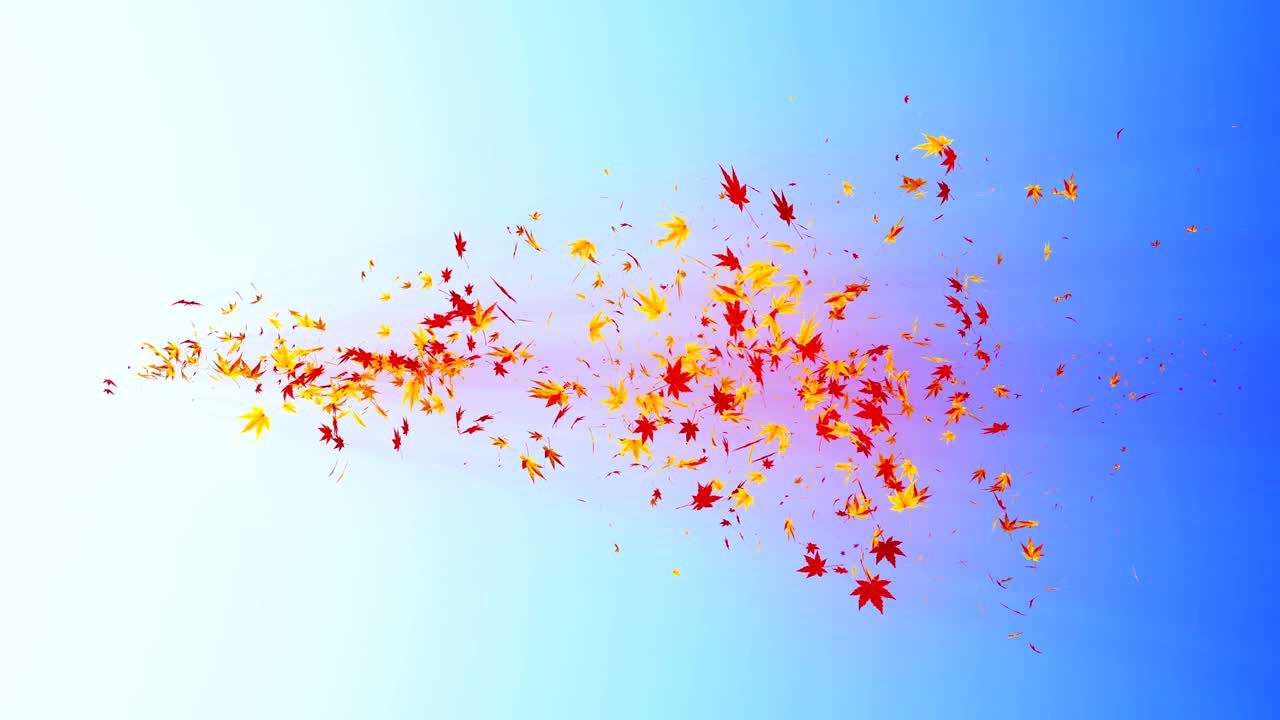 다채로운 메이플과 잎에서 나온 소용돌이, 가을 잎의 나선형 반이는 입자, 춤추는 잎, 다채로운 자연 터널 루프 애니메이션.