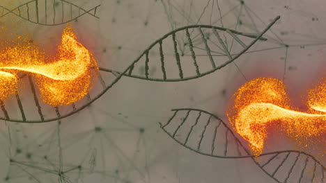 animation of orange shapes over dna strands