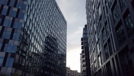 edificio corporativo inmobiliario, edificios de oficinas con reflejos de vidrio thales bucarest rumania