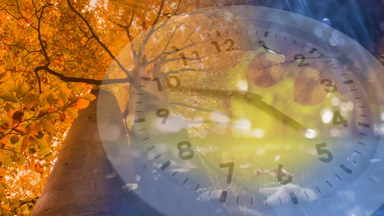 가을 계절 나무