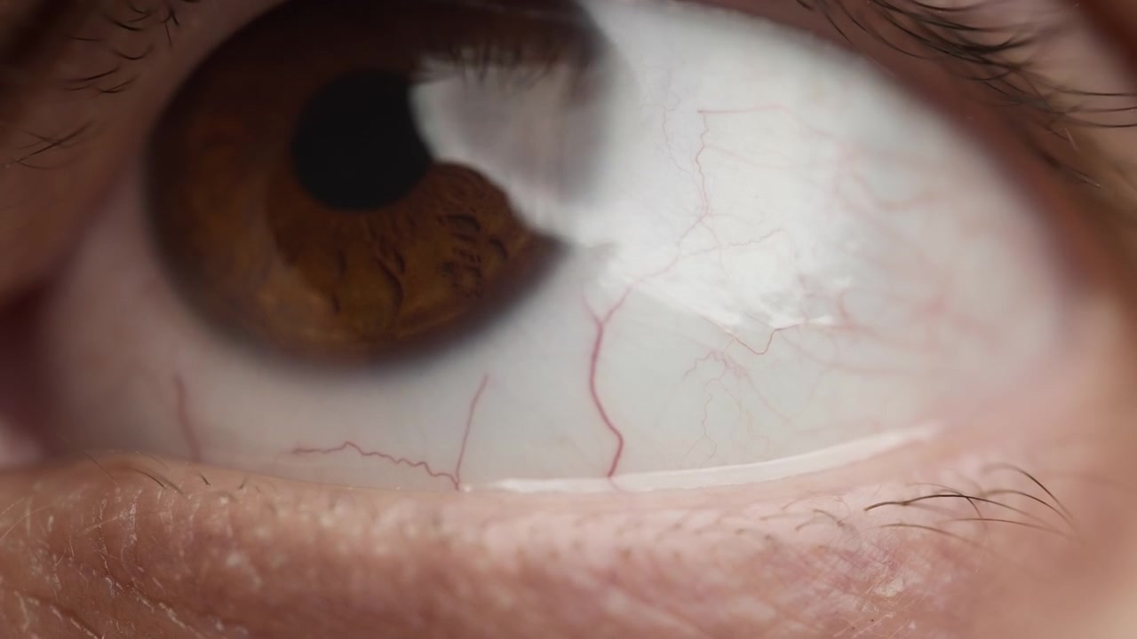 Braunes Auge, das nach oben und unten schaut.