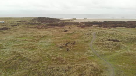 autumn grassland and dunes on the beach of ameland,netherlands,aerial