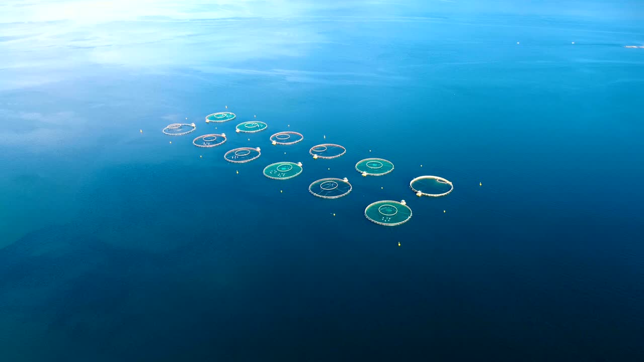 노르웨이에서 연어  ⁇ 시를 하는 공중 촬영