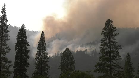 une colline fumée par un jour de vent