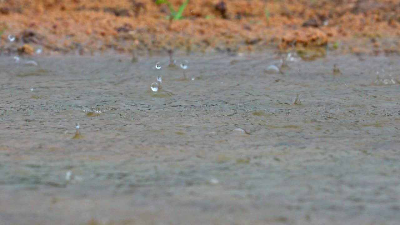Gotas de lluvia cayendo en un charco