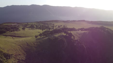 Luz-Dorada-Golpeando-El-Bosque-Fanal-En-Madeira-Al-Atardecer