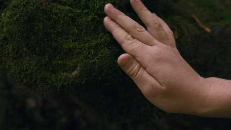 hand touching moss-covered rock