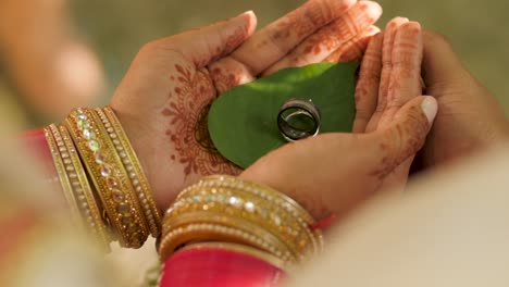 Rings-on-a-leaf-in-the-hands-of-a-soon-to-be-married-Indian-Couple