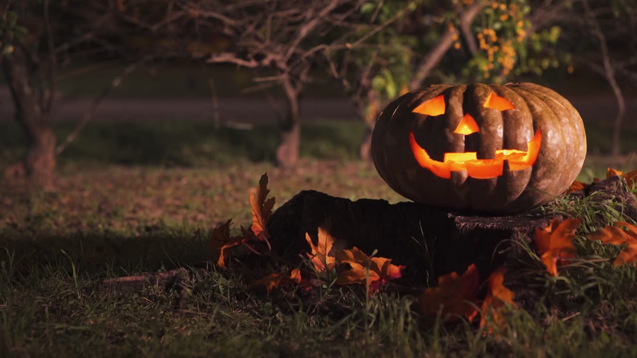 calabaza de halloween en un tocón de árbol en la noche