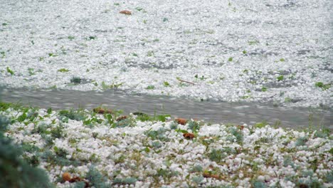 piedras de granizo suciedad calle y hierba como rayos golpea, lluvia cae
