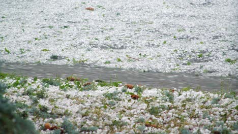 hail stones litter street and grass as lightning strikes, rain falls