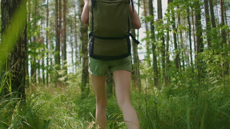 the legs of a woman traveler walking on a forest road with a map in the pine forest