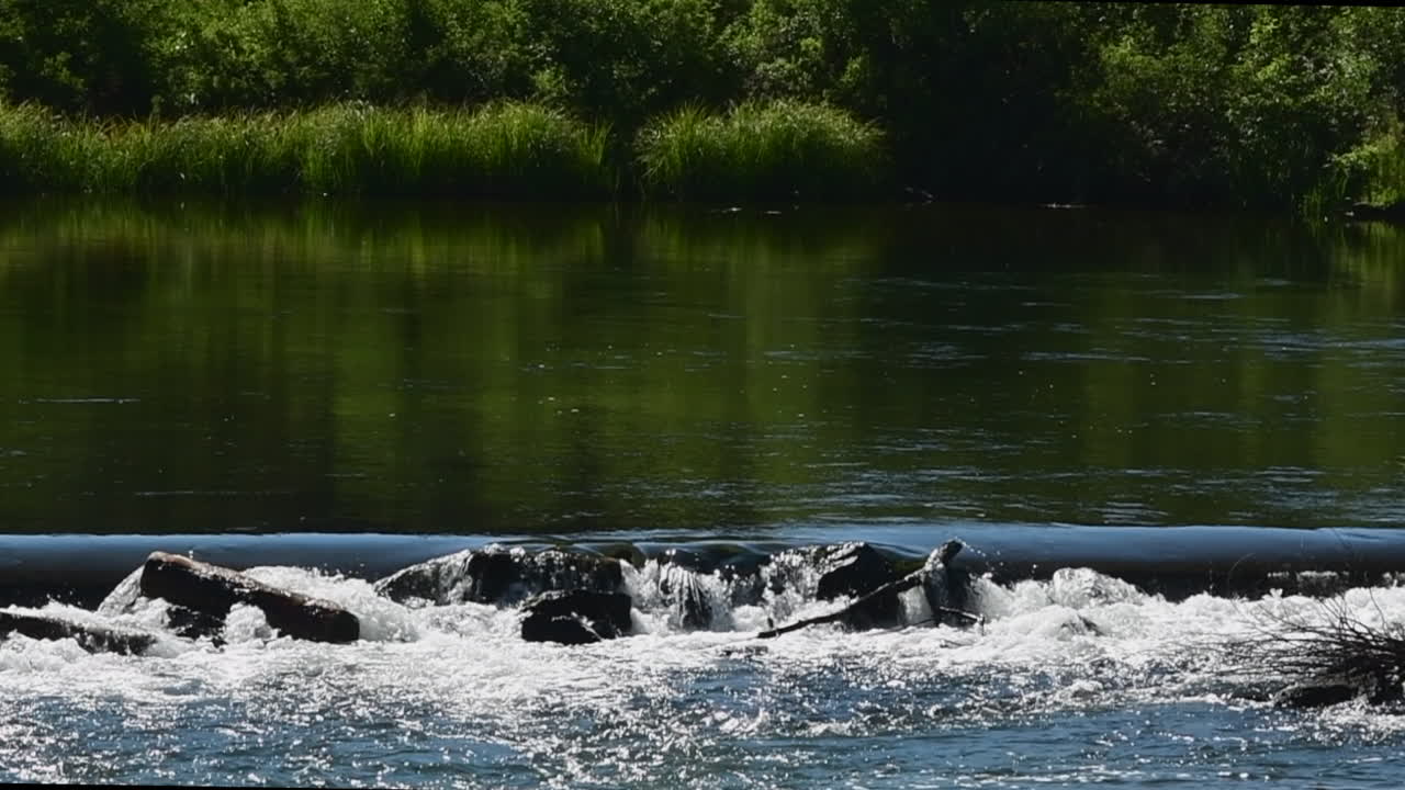 Water flowing over a log and rocks in the Deschutes River, Oregon at Lava Island