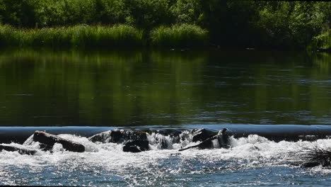 agua que fluye sobre un tronco y rocas en el río deschutes, oregon en la isla de lava
