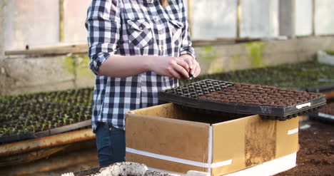 close up of female gardener arranges seedlings 3