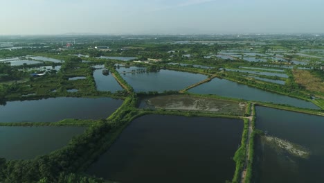 Luftaufnahmen-Schöner-Sonnenuntergang-Auf-Der-Nil-Tilapia-Fischfarm,-Asiatische-Fischzucht