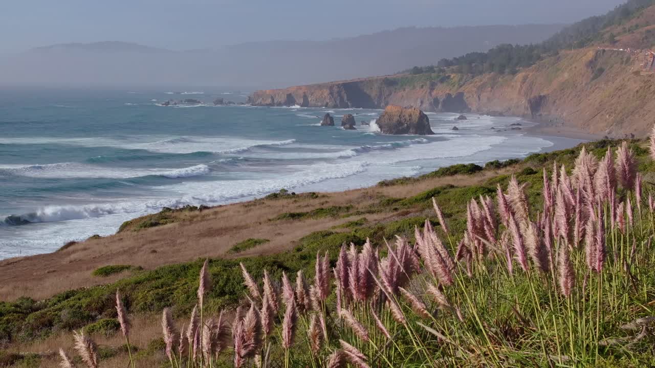 Serene California coast with waves and cliffs, captured on a sunny day