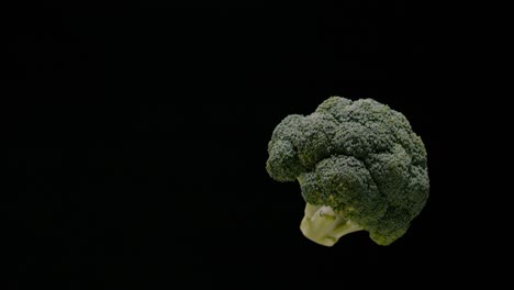 Delicious-broccoli-falling-down-isolated-on-black-background,-slow-motion