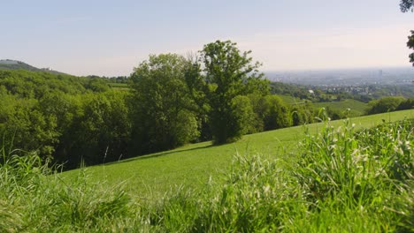 vista de la naturaleza cerca de la ciudad de viena